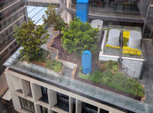 Sydney's Barangaroo Towers - Green Roofs. An areal view image of a green roof top located in Sydney NSW.